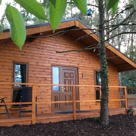 Butterfly Cabin ลิเมอริค ภายนอก รูปภาพ