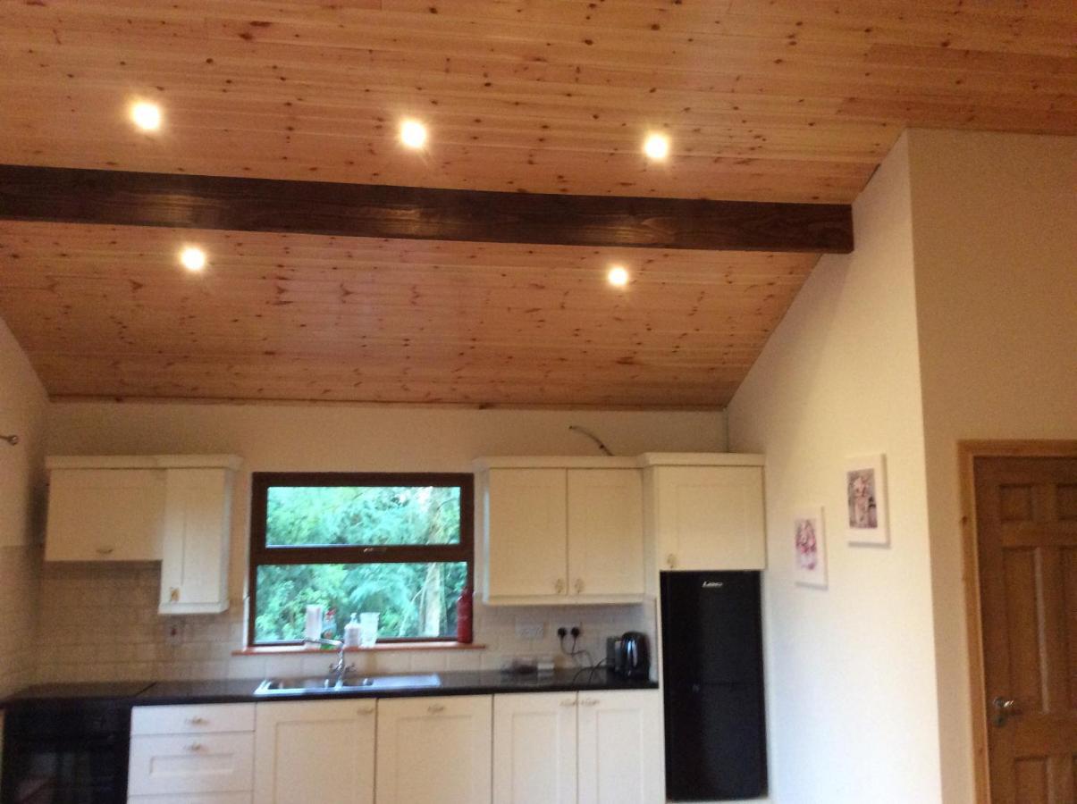 Butterfly Cabin ลิเมอริค ภายนอก รูปภาพ