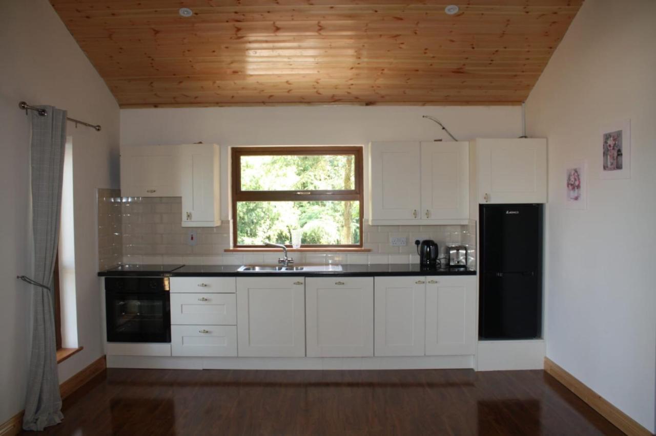 Butterfly Cabin ลิเมอริค ภายนอก รูปภาพ