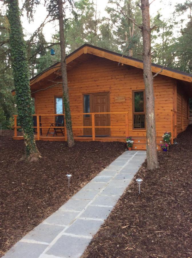 Butterfly Cabin ลิเมอริค ภายนอก รูปภาพ