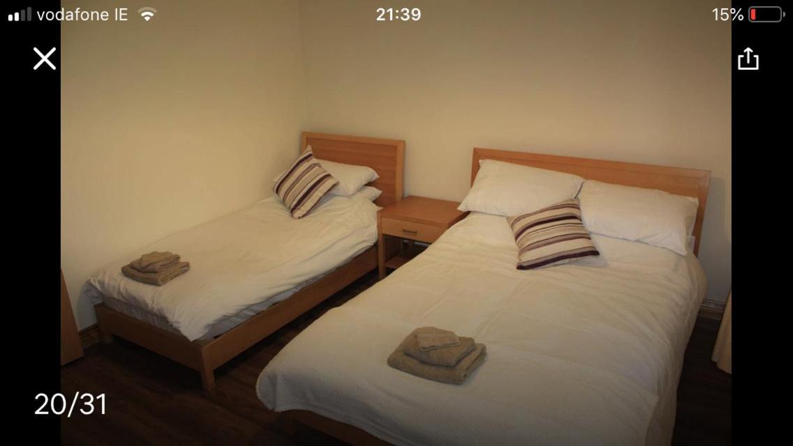 Butterfly Cabin ลิเมอริค ภายนอก รูปภาพ