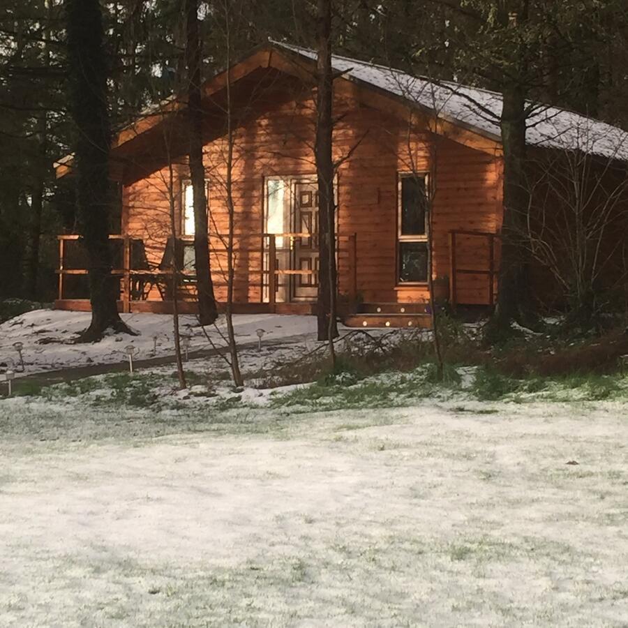 Butterfly Cabin ลิเมอริค ภายนอก รูปภาพ
